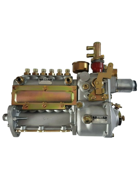 Service Reconstruction Pompe Injection 230SL 250SL 280SL W113